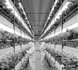 北斗系統(tǒng)首發(fā)與計(jì)算機(jī)系統(tǒng)集成在2016年高考文科綜合地理試卷中的跨學(xué)科融合分析